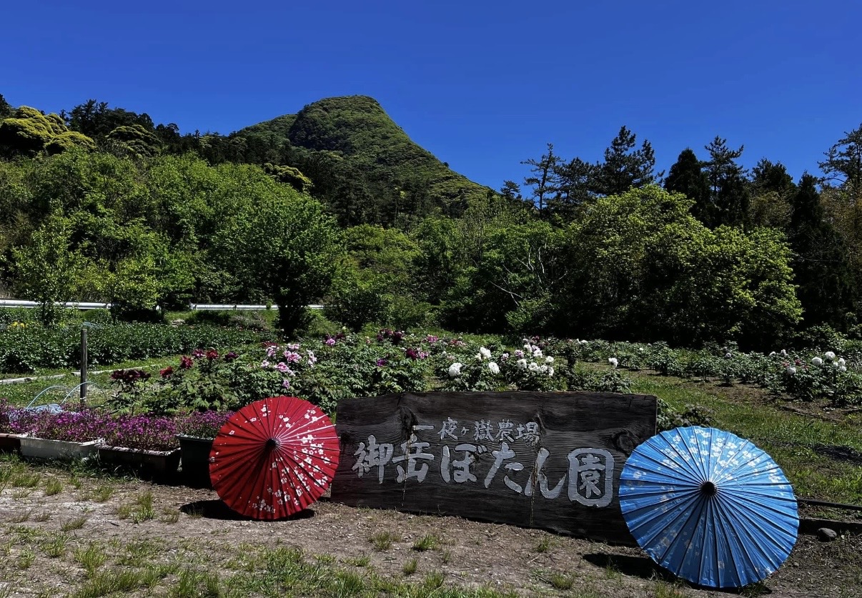（イメージ）図書館展示「五箇牡丹園 花の作品展」（8月4日から9月4日）