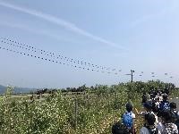 児童たちが列になって屋外を歩いて移動している写真