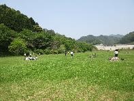 児童たちが広い草むらの中を歩いている写真