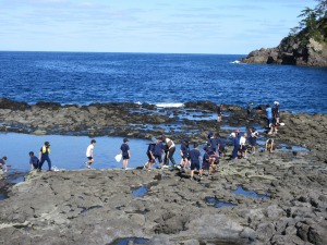 海辺の岩場で多数の児童が潮だまりを見たり歩いたりしている写真