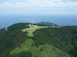 曇り空の下に黄緑色と緑色を基調とした島を上空から撮影した写真