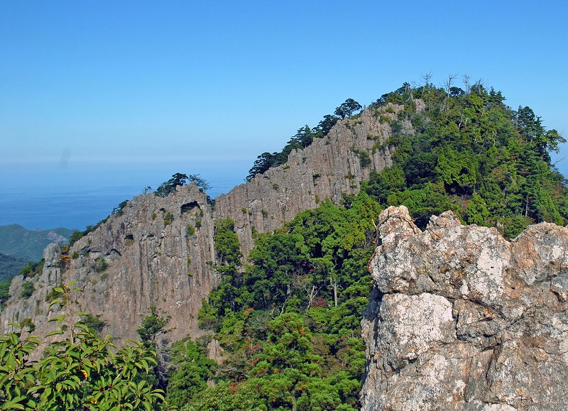 手前に岩場があり奥に沢山の木が生えた断崖がある写真