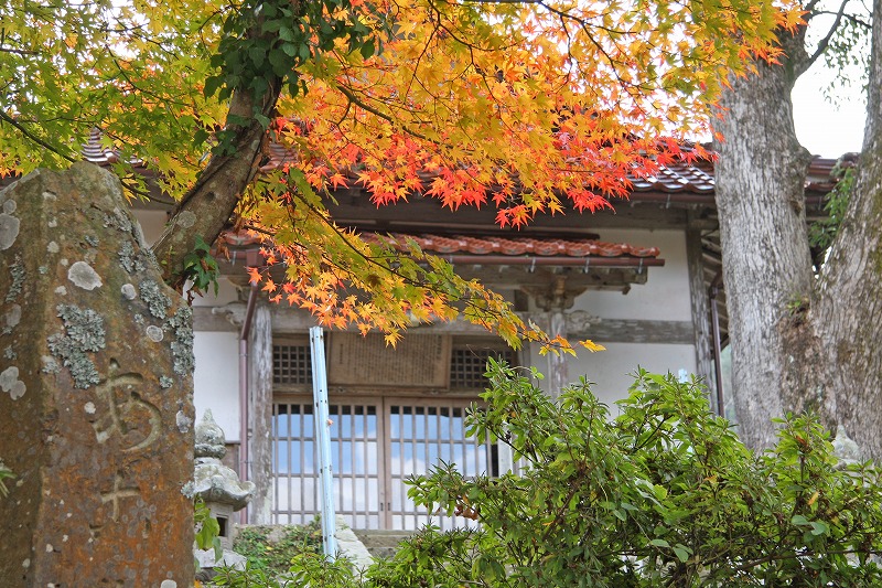 瓦屋根の建物のそばで紅葉が赤く色づいている写真