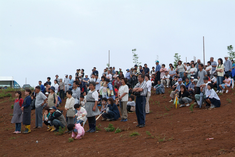 緩い傾斜のついた場所から遠くを見ている人たちの写真