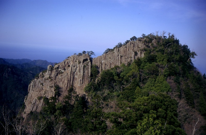 切り立った断崖に沢山の木が生えている写真
