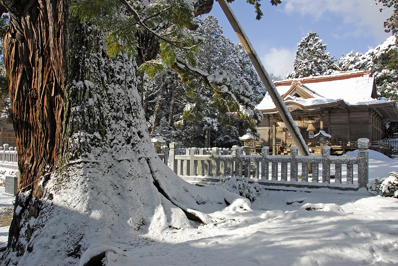 神社や周りの木々が雪に覆われている写真