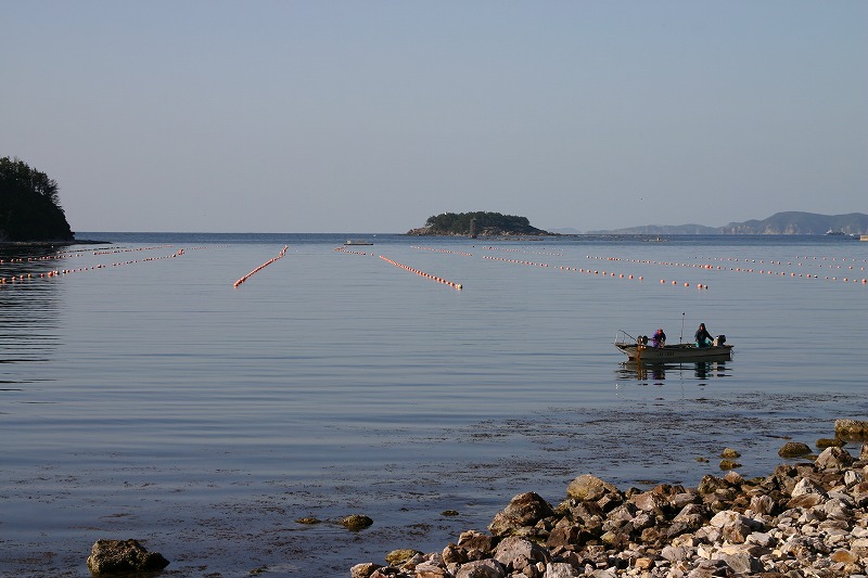 海の上に直線状に並べられた浮き玉の写真