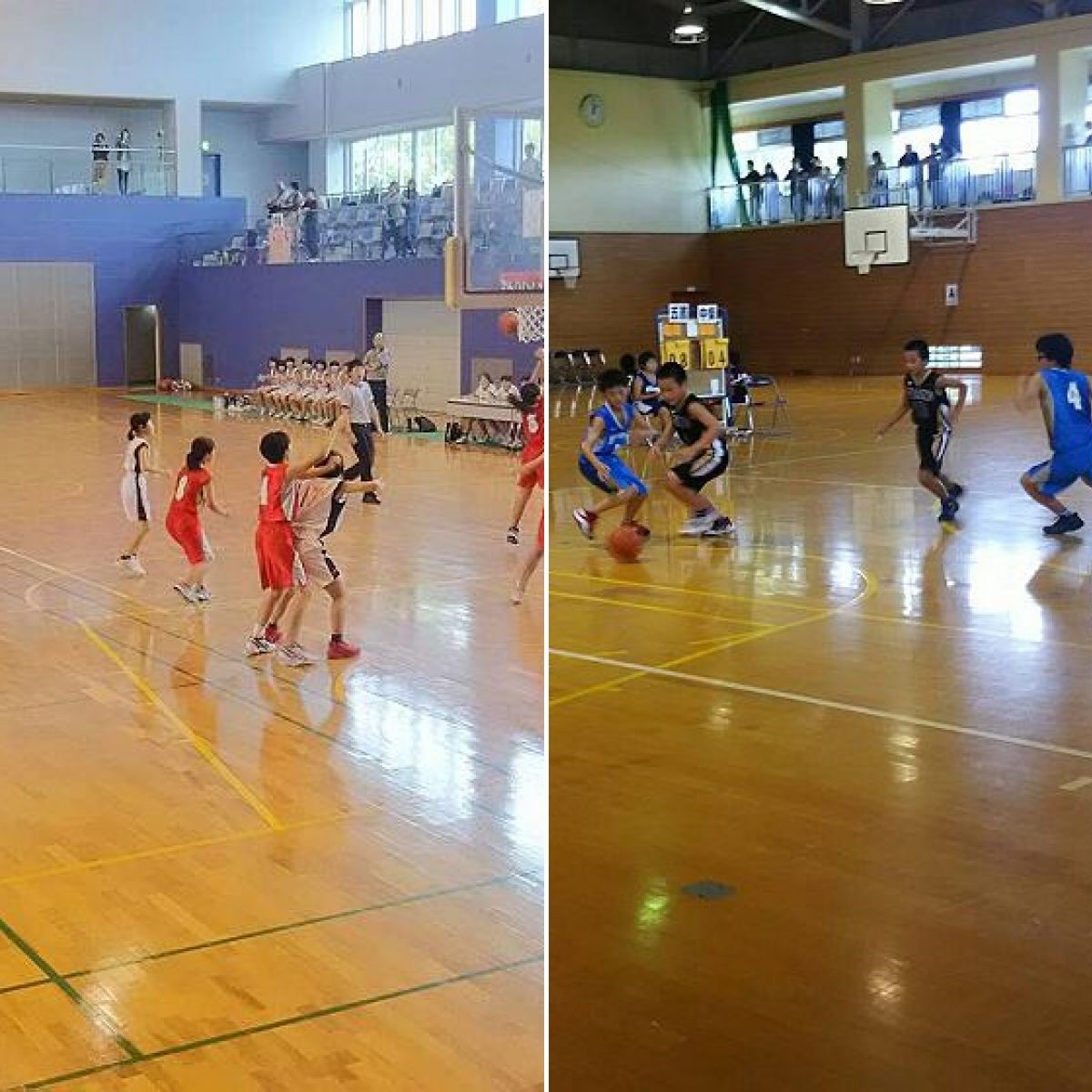 体育館で児童たちがバスケットボールをしている複数の写真