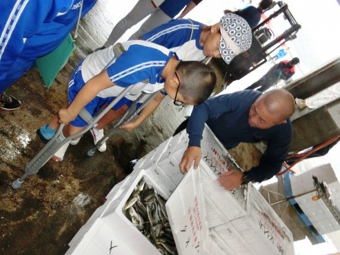 児童が大人の説明を受けながら発泡スチロール箱に入った魚をのぞき込んでいる写真