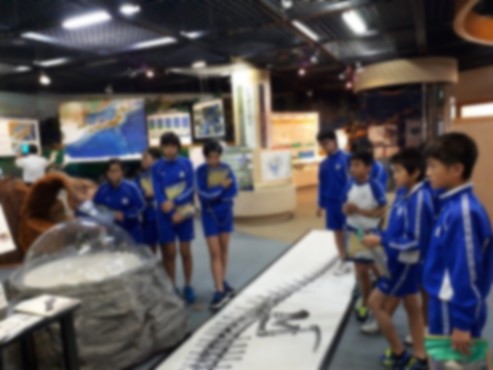 児童たちが化石の展示物を見学している写真