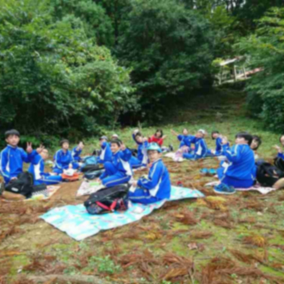 野外で児童たちがビニールシートの上で弁当を食べている写真