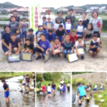 川に入って生き物を採取している児童たちの複数の写真