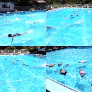 プールでの遠泳に挑戦している児童たちの複数の画像