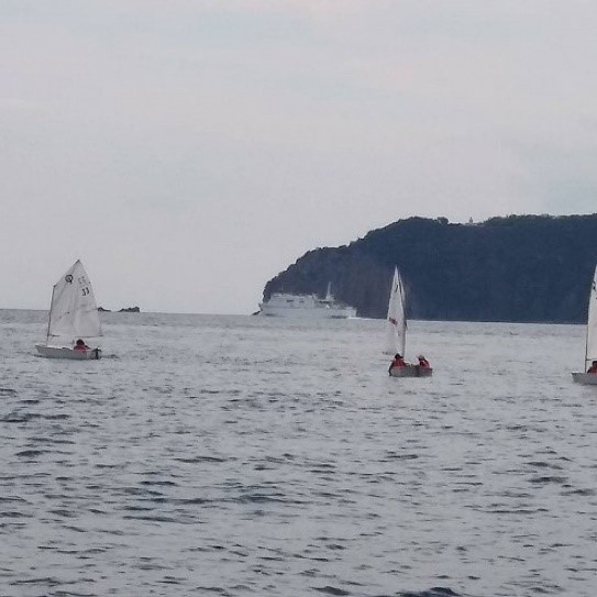 児童たち乗ったがヨットが海上に2艘浮かんでいる写真