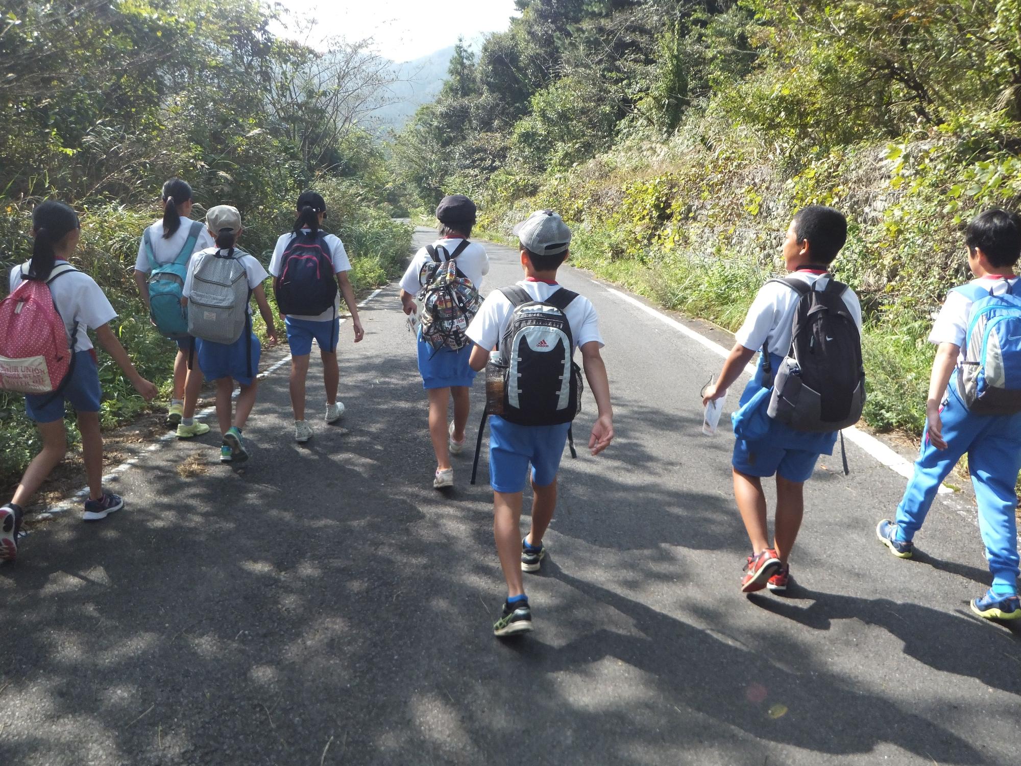 児童がリュックを背負って山道を列になって歩いている写真
