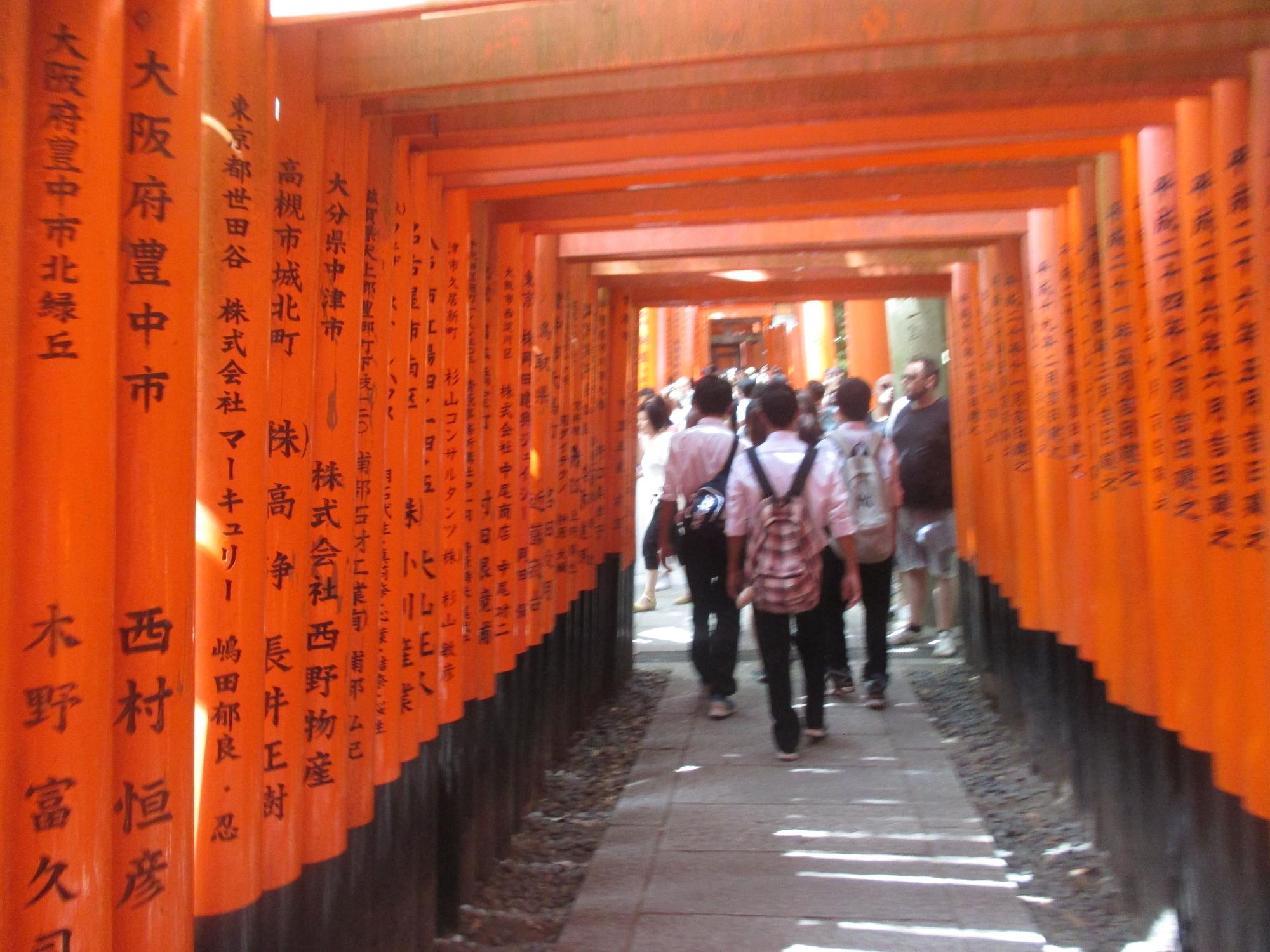 多数の鳥居が連なる通路を、複数の生徒が歩いている写真