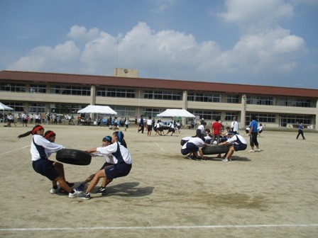四人の生徒が丸いタイヤを持って自分の方に引く競技をしている写真