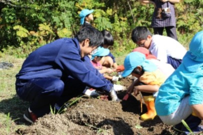 保育園児と一緒に芋ほりをしている生徒たちの写真