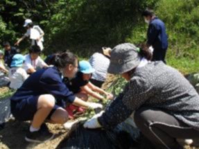 生徒が大人や保育園児とさつまいもの苗を植えている写真