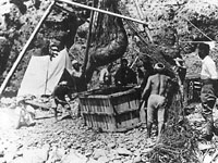 竹島で隠岐の漁民たちが行っていたアシカ猟の写真