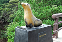 竹島にいたとされるニホンアシカの像の写真