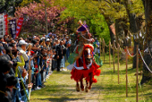 水若酢神社祭礼风流