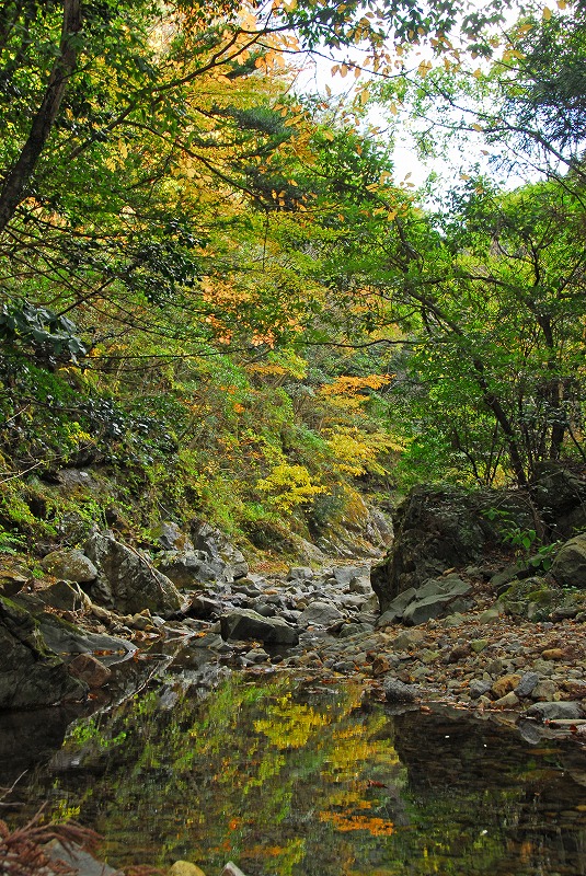 Autumnal leaves at Choshi (2)