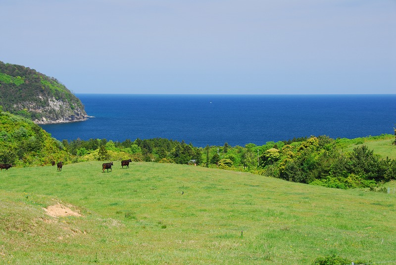 岬牧野（1）