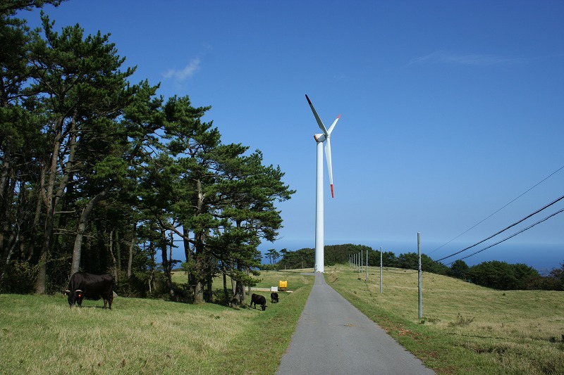 Omine pastureland