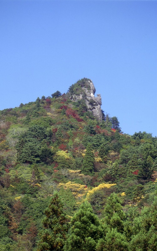 トカゲ岩(2)