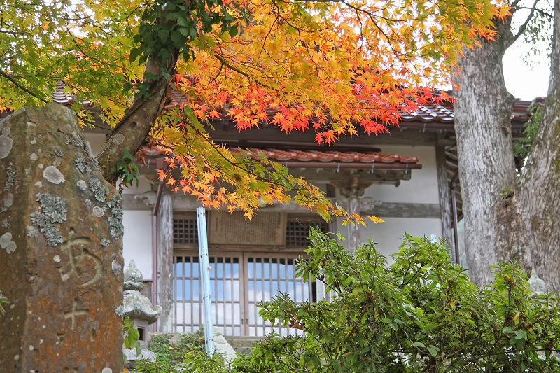 都万目の紅葉(1)