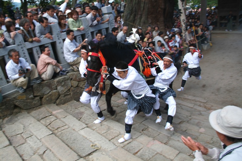 玉若酢命神社御霊会風流(4)の写真