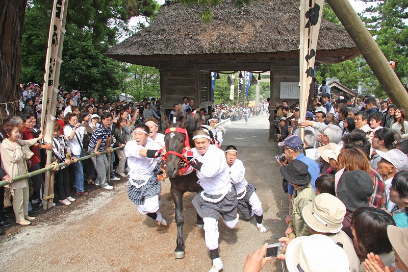 玉若酢命神社御霊会風流(6)の写真