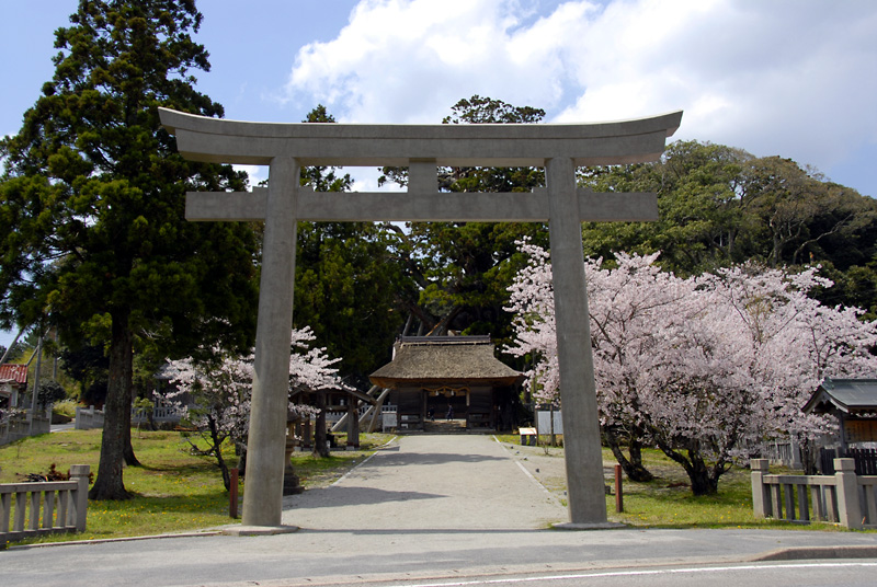 Tamawakasumikoto Shrine (2)