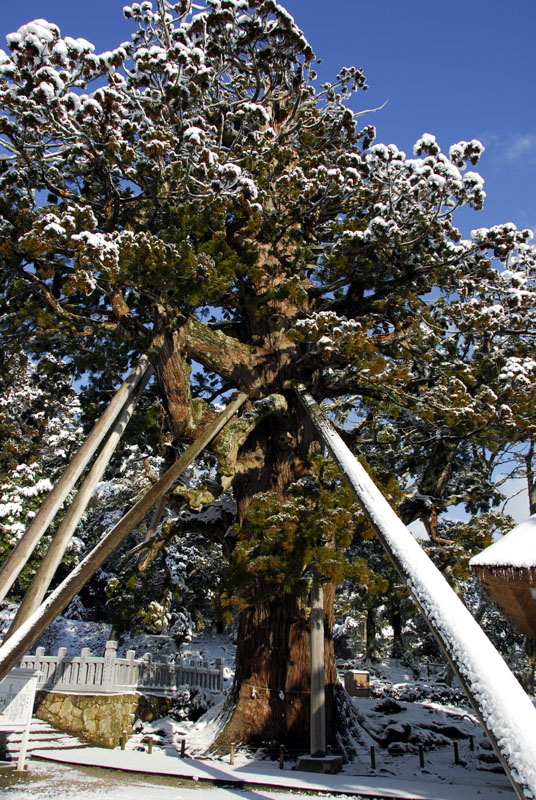 Tamawakasumikoto Shrine (3)