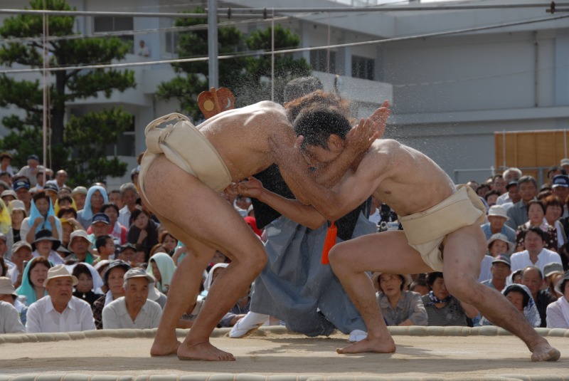 番外・関脇の写真