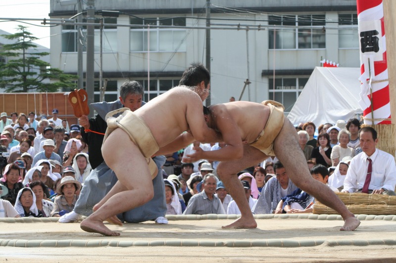 番外・大関の写真