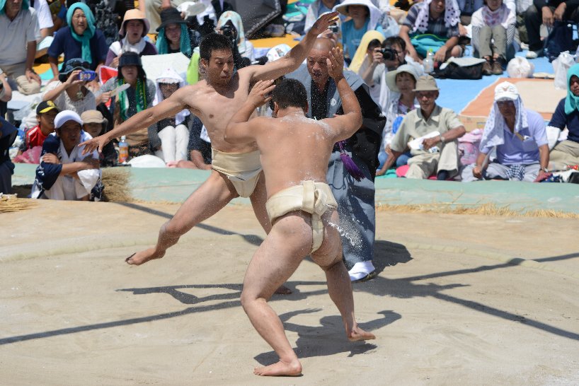 正三役・大関の写真