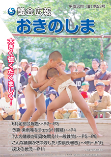 議会広報おきのしま53号表紙