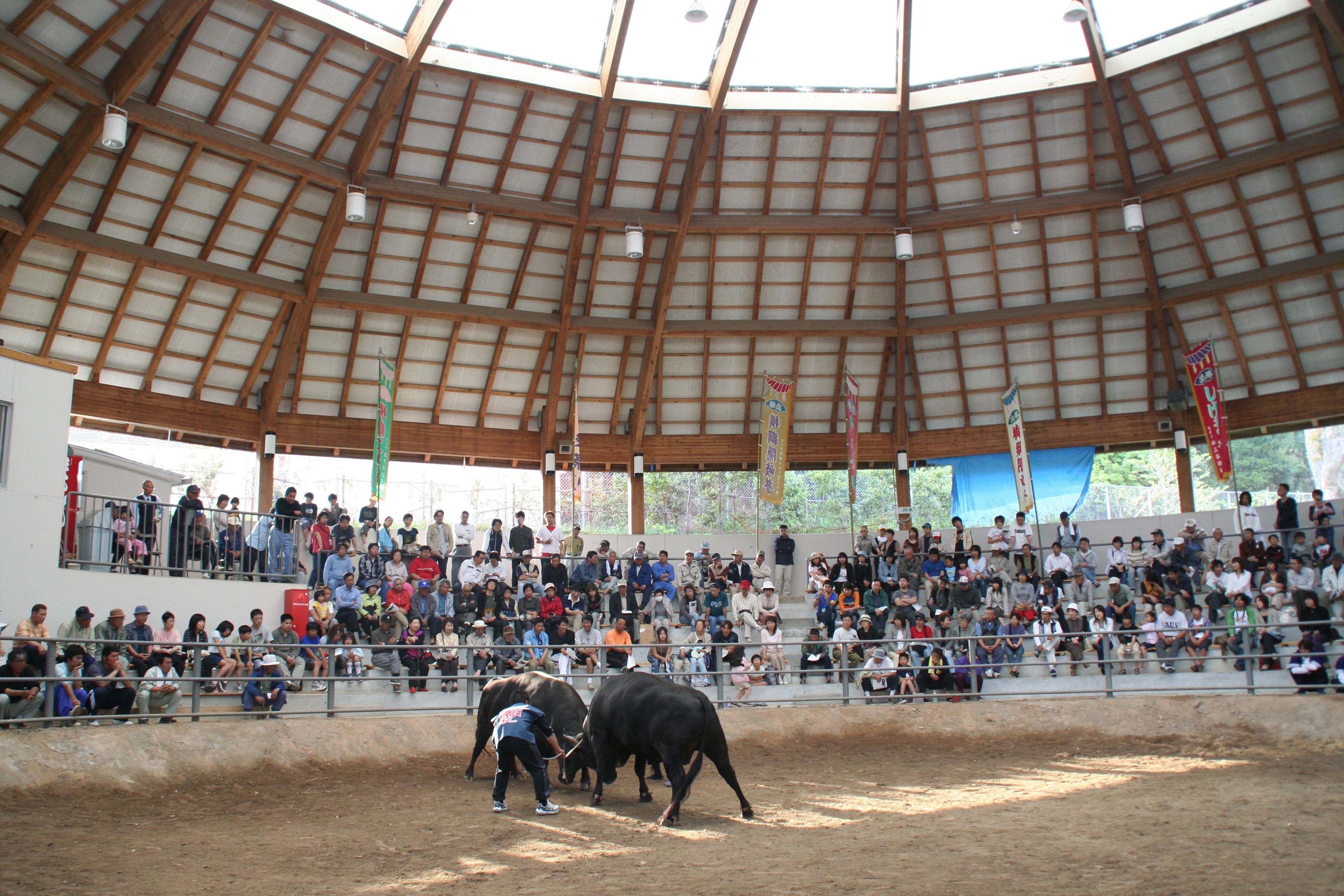 モーモードーム