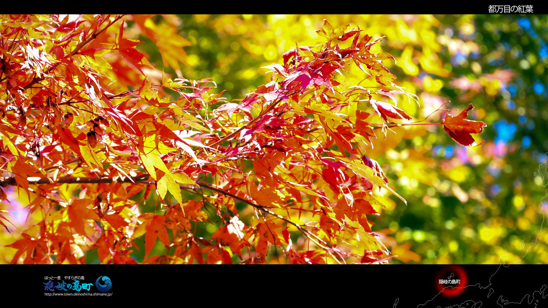 都万目の紅葉（壁紙ワイド1920&times;1080）の写真
