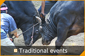 Traditional events