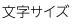 文字サイズ