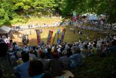 Hassaku Bull Sumo Tournament